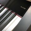 Piano Digital Casio Privia PX-S1100