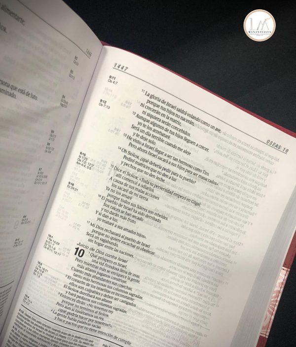 Biblia De Estudio Diario Vivir NTV Tapa Flexible