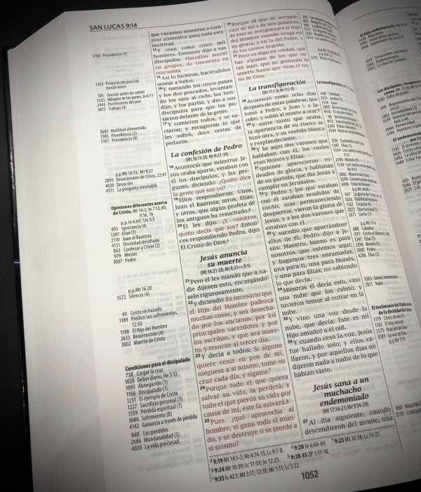 Biblia de Referencia Thompson - Tapa Dura