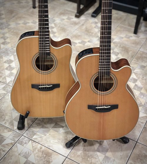 Guitarra Electroacústica Takamine GD20CE/GN20CE-NS