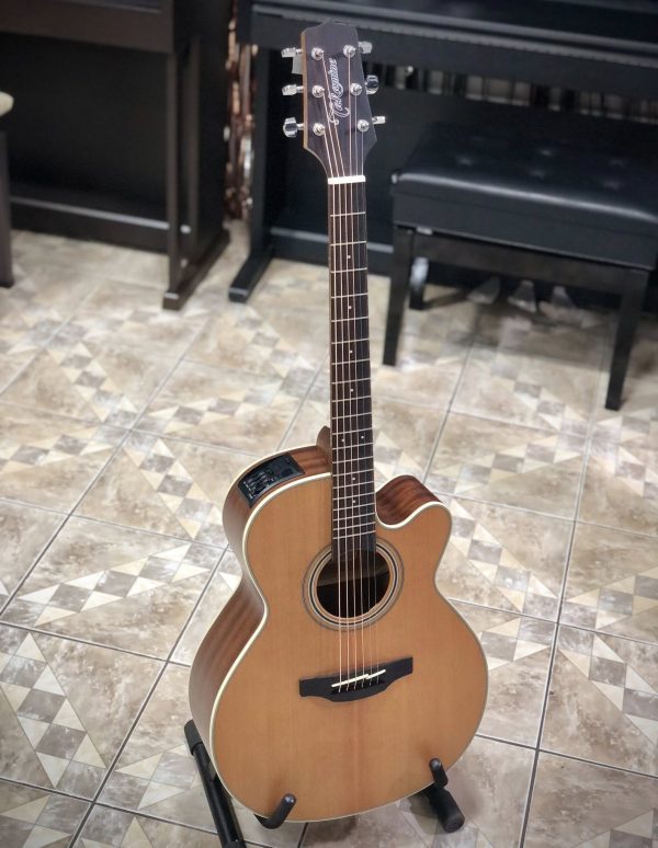Guitarra Electroacústica Takamine GD20CE/GN20CE-NS