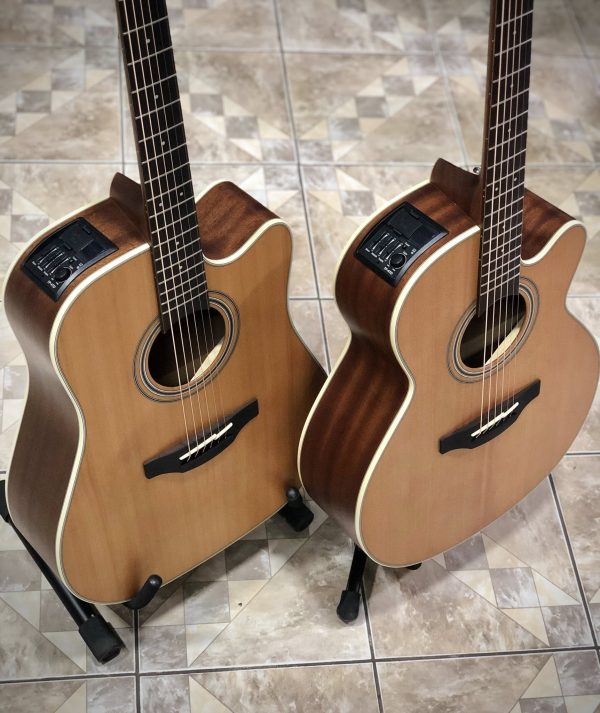 Guitarra Electroacústica Takamine GD20CE/GN20CE-NS