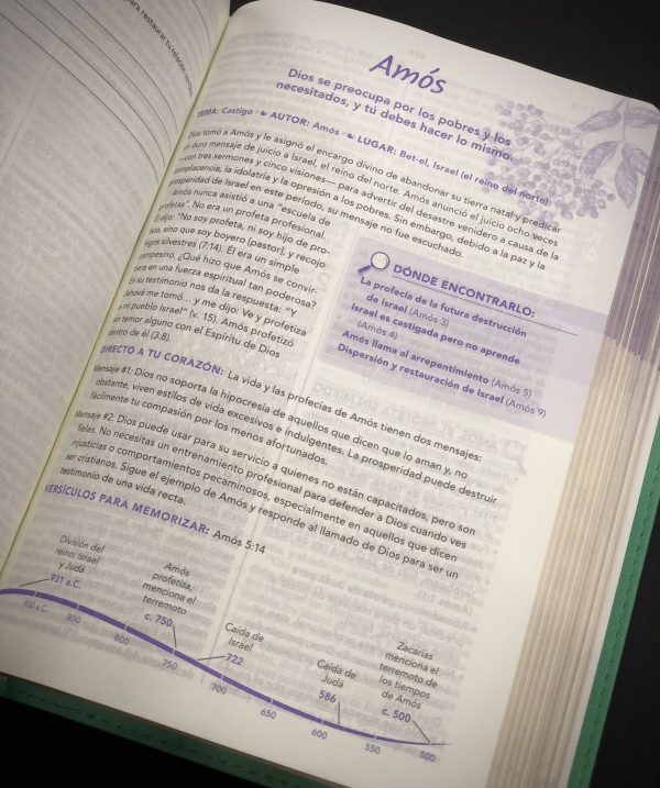 Biblia De Una Joven Conforme Al Corazón De Dios Tapa Flexible