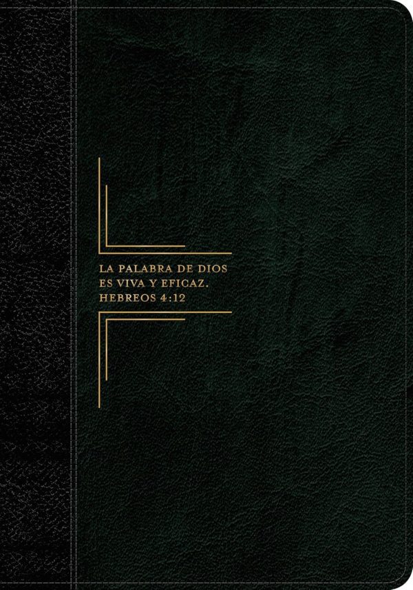 812Ph+ZcSgL._SL1500_ Biblia de Estudio Diario Vivir Letra Grande - Tapa Flexible