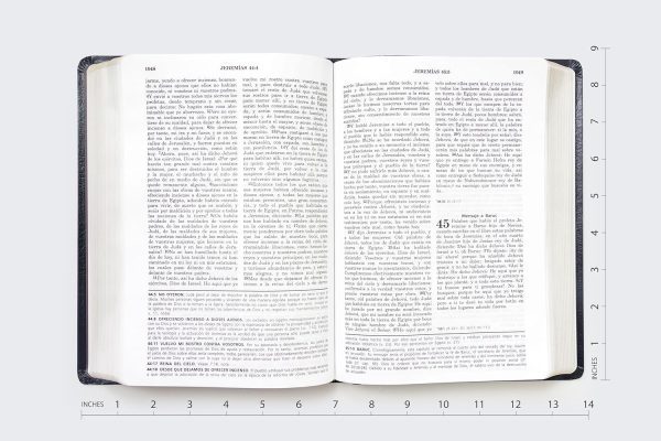 814f+oo7c7L._SL1500_ Biblia de Estudio Vida Plena - Tapa Flexible