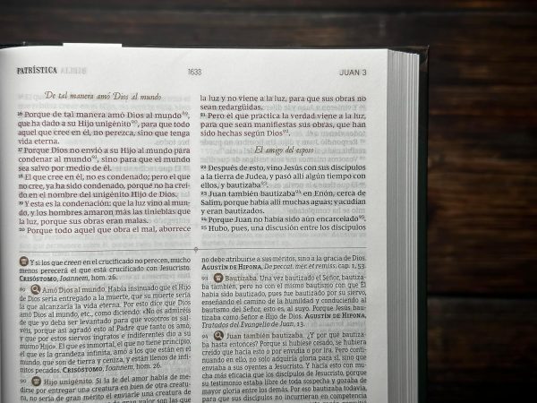 913fwX+BNLL._SL1500_ Biblia de Estudio Patrística - Tapa Dura