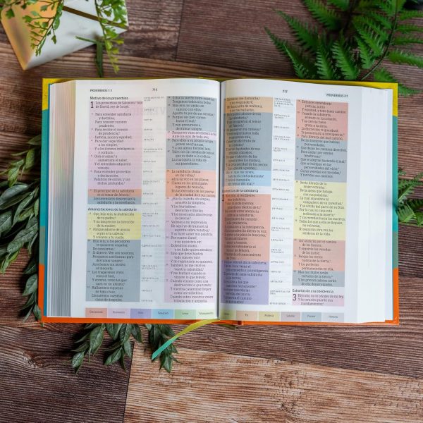 Biblia de Estudio Arcoiris - Tapa Dura