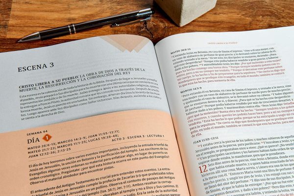 Biblia Cronológica, Día Por Día Tapa Dura