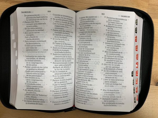 Biblia RVR 1960 Letra Gigante Tamaño Manual con Cierre