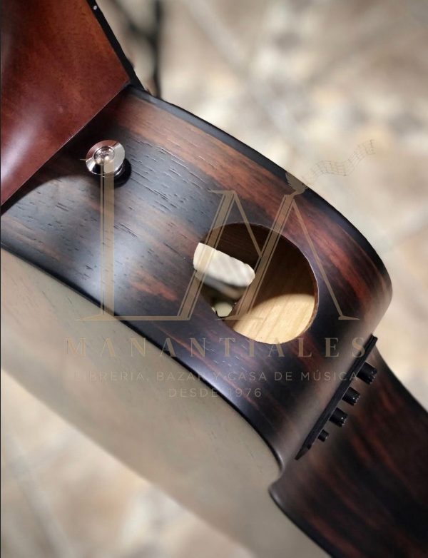 Guitarra Electroacústica Ibanez AAM70CE