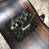 Guitarra Electroacústica Ibanez AAM70CE