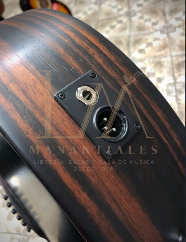 Guitarra Electroacústica Ibanez AAM70CE