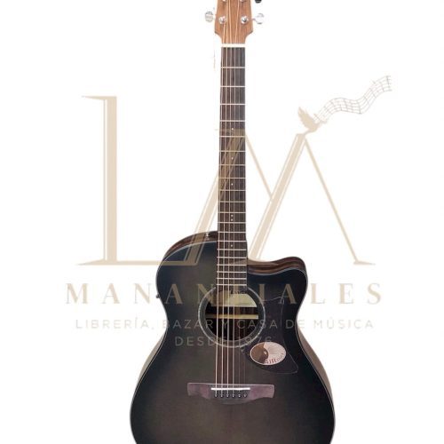 Guitarra Electroacústica Ibanez AAM70CE