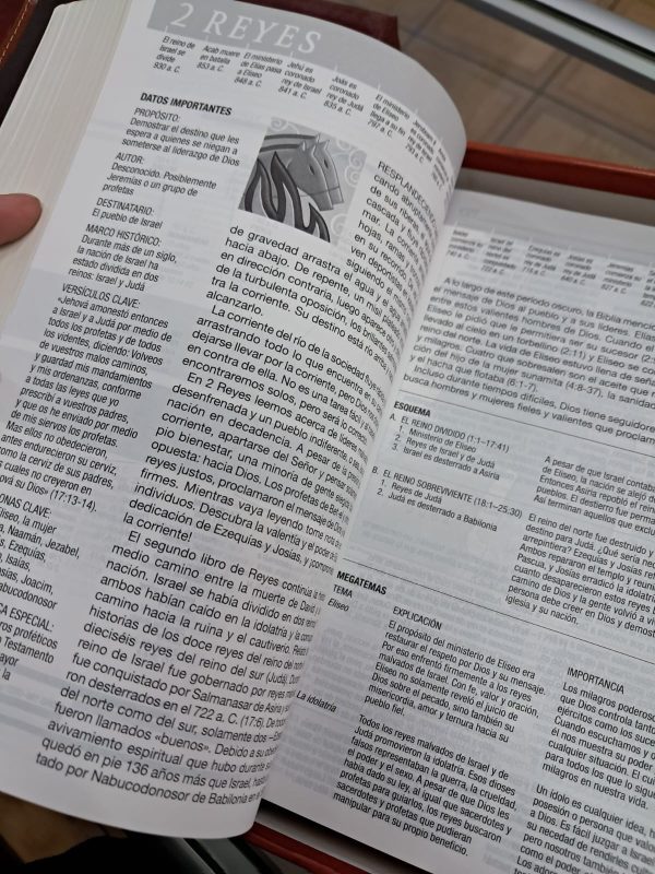 WhatsApp Image 2026-05-07 at 10.10.46 (2) Biblia de Estudio Diario Vivir Letra Grande - Tapa Flexible