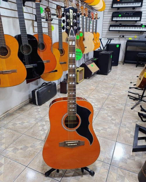 eko Guitarra Electroacústica Eko Ranger - VI VR EQ