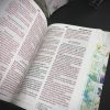 Biblia RVR 1960 Tamaño Bolsillo Con Canto Floral