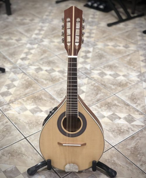 Mandolina Electroacústico de 10 Cuerdas GCR M-10E