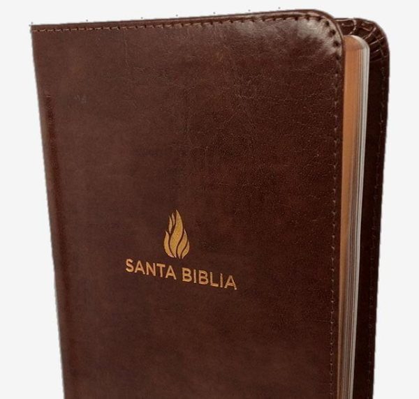 656a2d0bc6ec8_9781462791750-2 Biblia RVR1960 Compacta Letra Grande Marrón