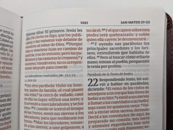 656a2d123042d_9781462791750-3 Biblia RVR1960 Compacta Letra Grande Marrón