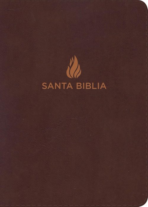 Biblia RVR1960 Letra Grande Tamaño Manual