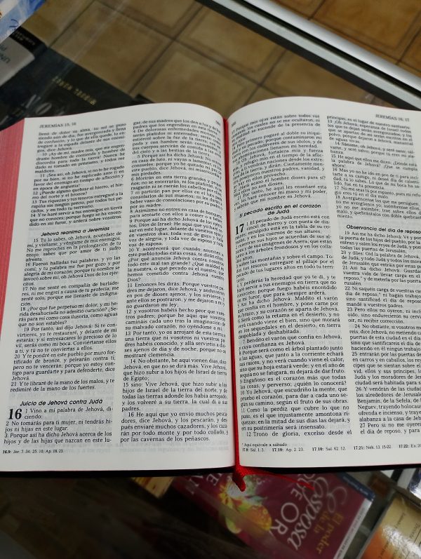 Biblia RVR1960 Negra Tapa Flexible