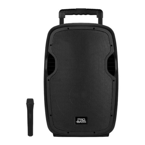Caja Activa PRO BASS Underground 15″ 100W