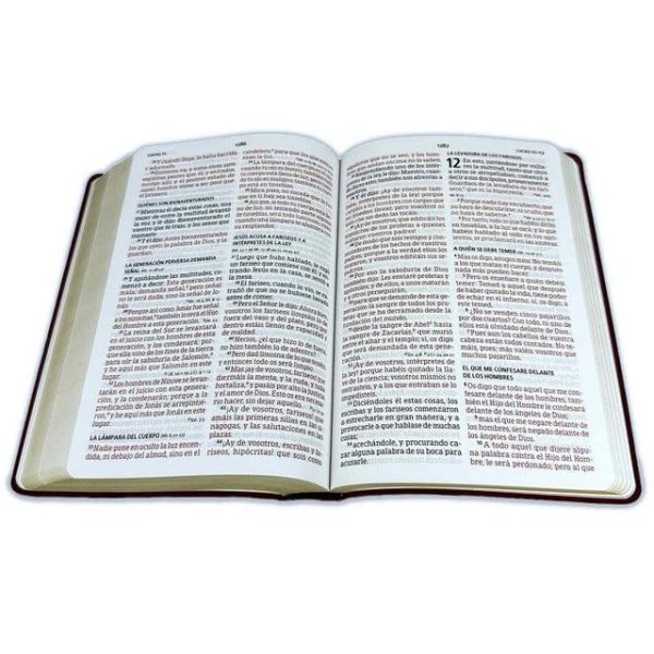 Biblia RVR1960 “Letra Grande Tamaño Manual”