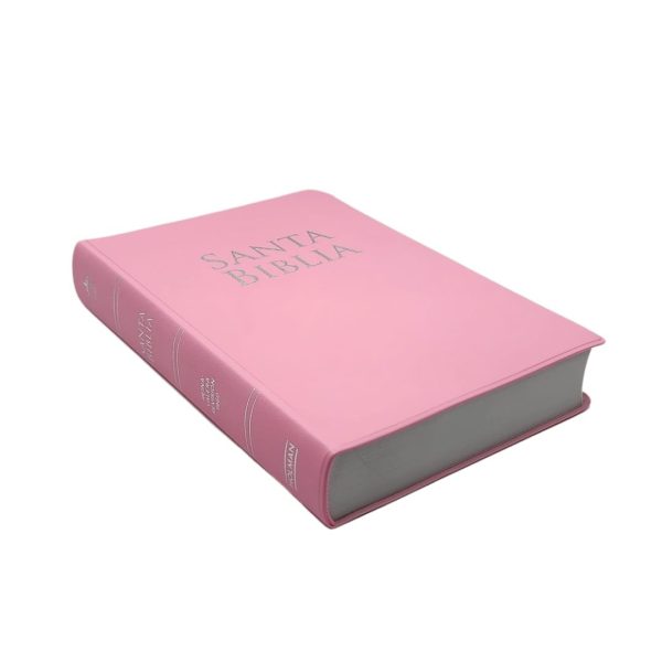 Biblia RVR1960 “Letra Grande Tamaño Manual”