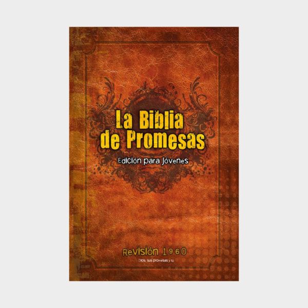 imagen_2025-12-09_100116234 (64) Biblia RVR1960 De Promesas Edición Para Jóvenes