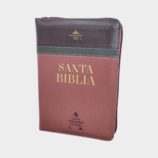 Biblia RVR 1960 Letra Grande Con cierre