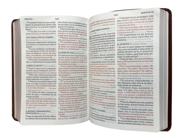 Biblia RVR1960 Letra Grande Tamaño Manual