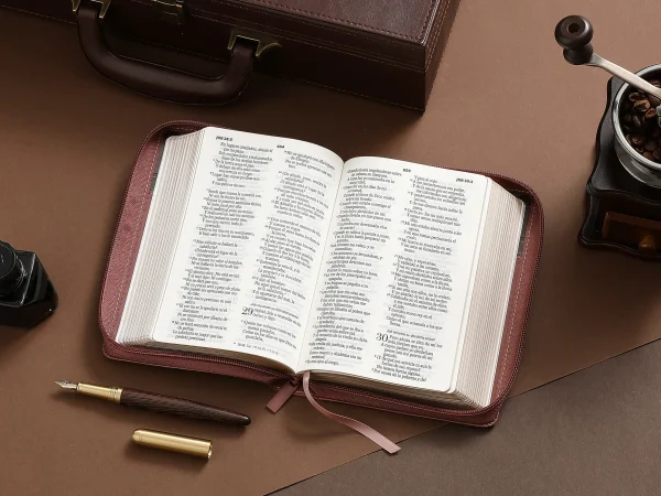 Biblia RVR 1960 Letra Grande Con cierre