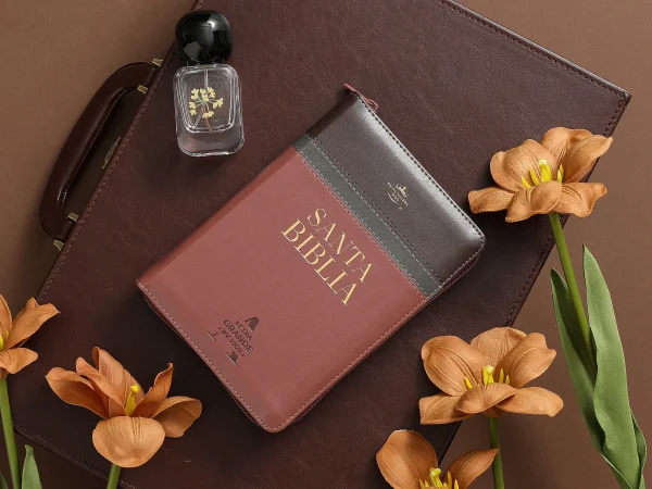Biblia RVR 1960 Letra Grande Con cierre