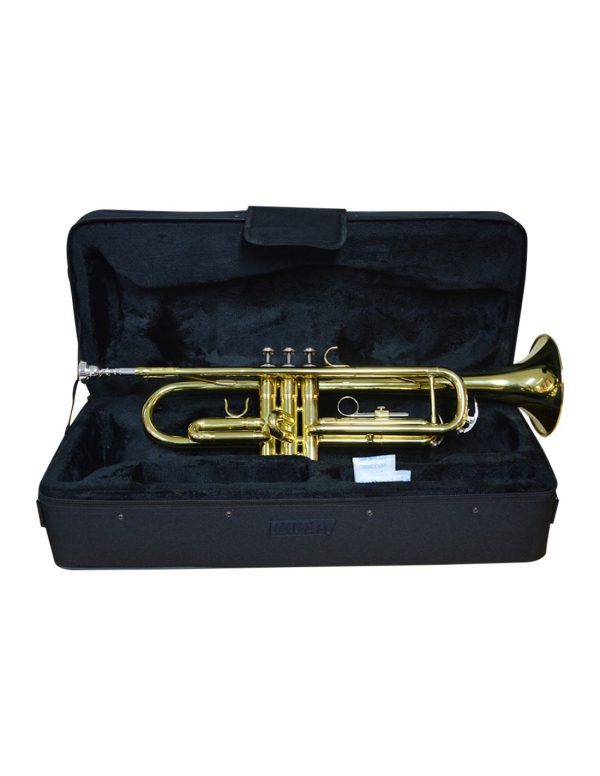 Trompeta Dorada Cipriani TRO82