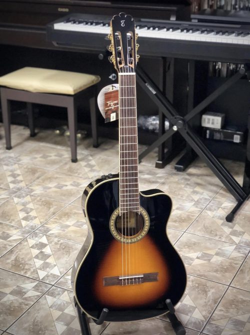 tw12, Guitarra Electroacústica Tagima WS12