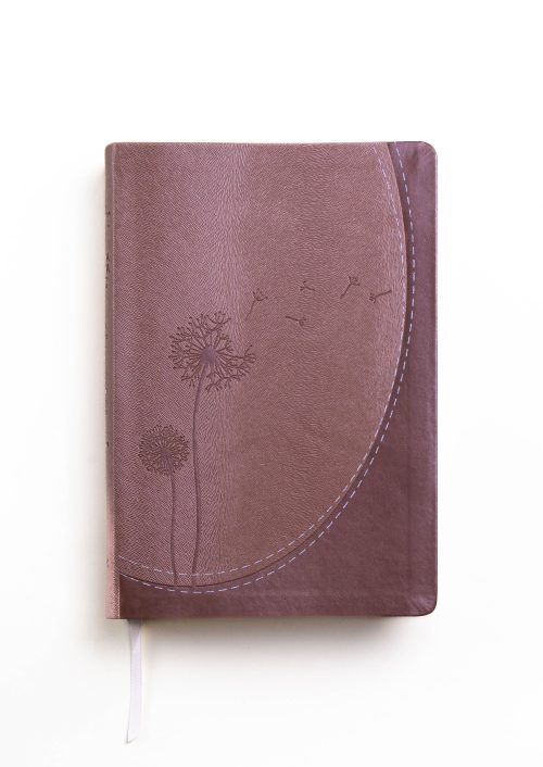 Biblia De Promesas Inspira RVR1960 Tapa Flexible