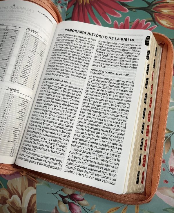 Biblia RVR 1960 Letra Grande Con Cierre