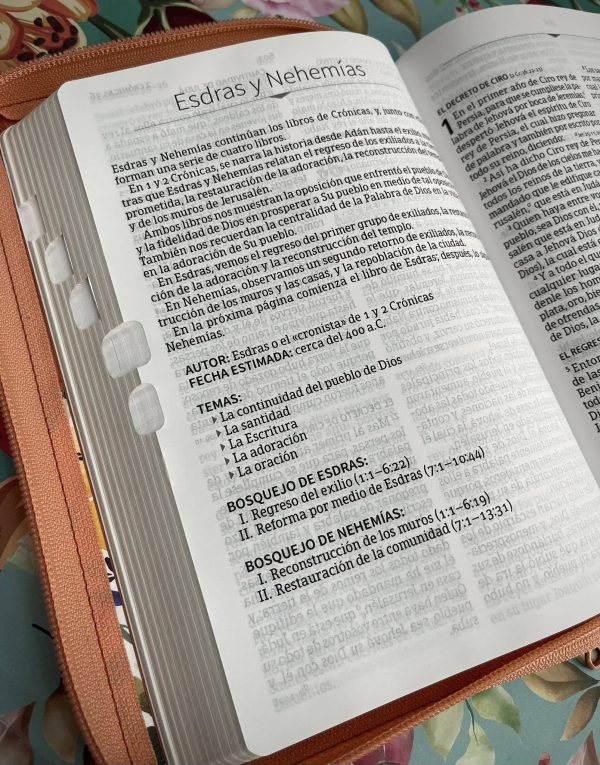 Biblia RVR 1960 Letra Grande Con Cierre