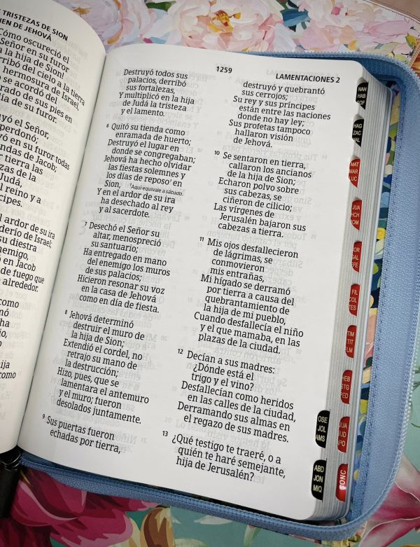 Biblia RVR 1960 letra gigante tamaño manual con cierre