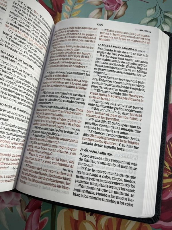 678597414_1405929391336678_2684912342201431285_n Biblia RVR1960 Letra Grande Tamaño Manual con Índice y Cierre
