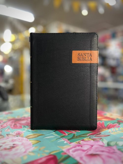 Biblia RVR1960 Letra Gigante Tamaño Manual con Índice y Cierre