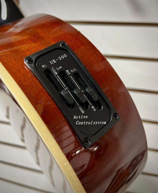 WhatsApp Image 2026-06-02 at 12.49.39 (2) Banjo Electroacústico GCR 10 Cuerdas
