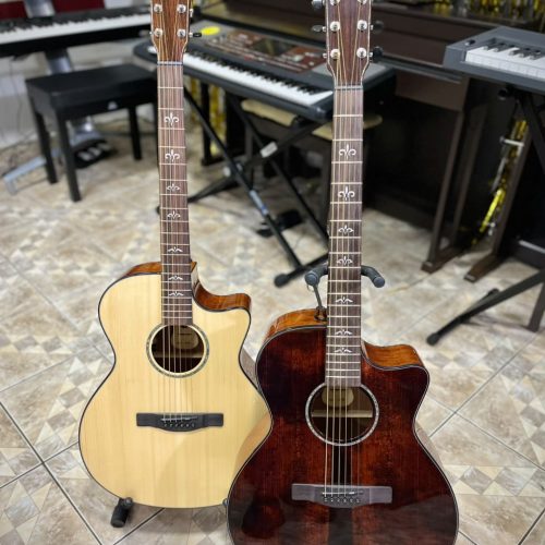 Guitarra Electroacústica Freeman D-70