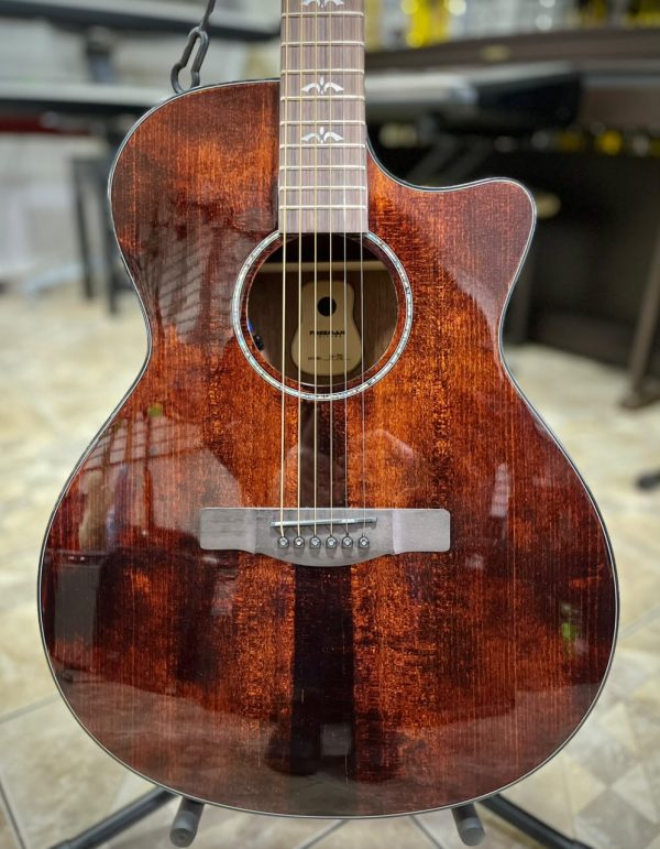 WhatsApp Image 2026-07-23 at 12.50.35 PM (2) Guitarra Electroacústica Freeman D-70