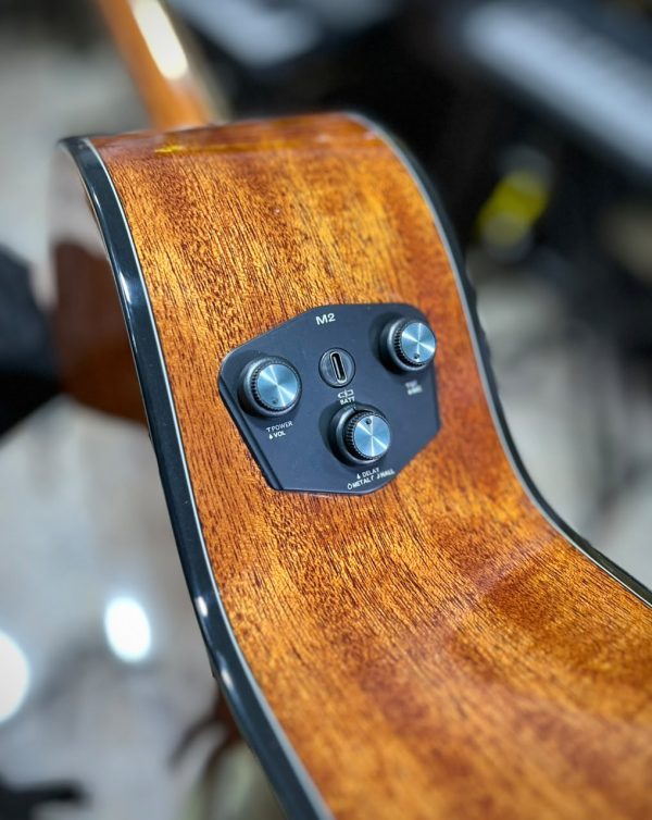 WhatsApp Image 2026-07-23 at 12.50.35 PM (3) Guitarra Electroacústica Freeman D-70